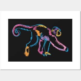 Rainbow Monkey Posters and Art